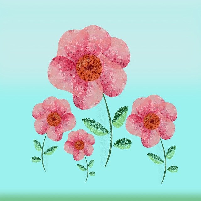 Free download Pink Garden Flowers Poppies -  free illustration to be edited with GIMP free online image editor