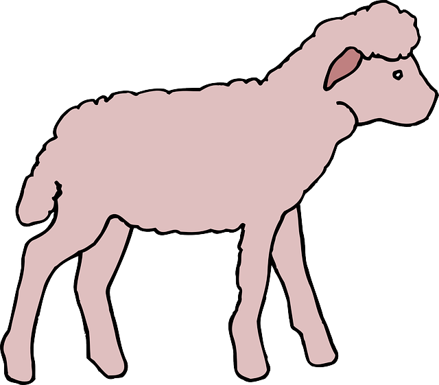 Free download Pink Lamb Animal - Free vector graphic on Pixabay free illustration to be edited with GIMP free online image editor