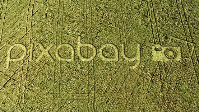 Free download Pixabay Field Crop Circle Birds -  free illustration to be edited with GIMP free online image editor