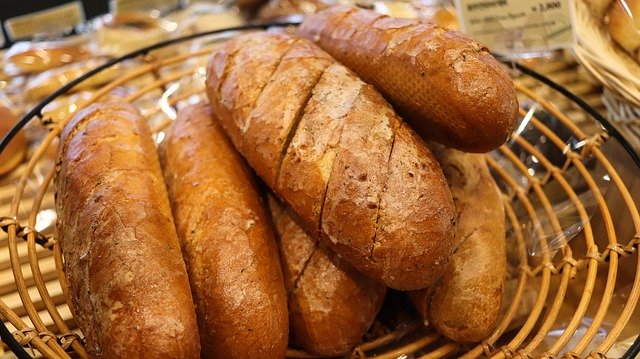 Free download Plain Bread Grain -  free photo or picture to be edited with GIMP online image editor