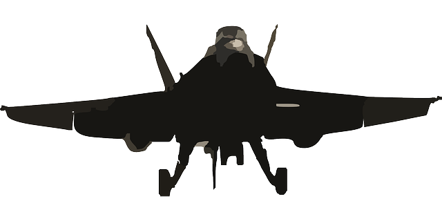 Free download Plane Fighter Jets Navy - Free vector graphic on Pixabay free illustration to be edited with GIMP free online image editor