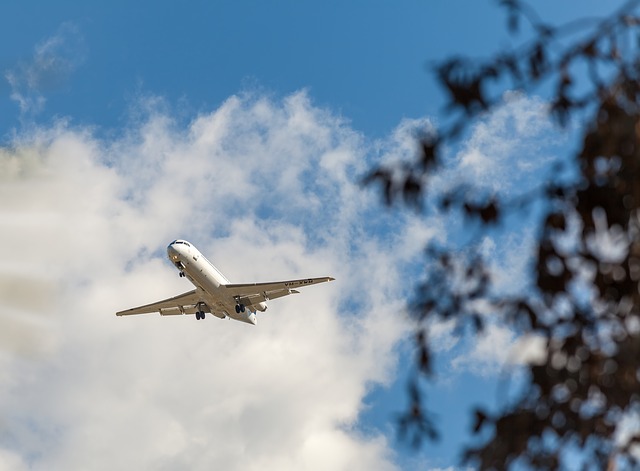 Free download plane fokker f 28 0100 c n 11276 free picture to be edited with GIMP free online image editor