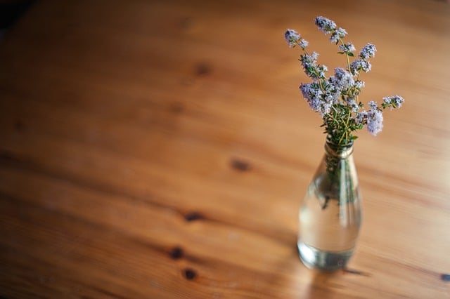 Free download plant bottle vase apartment free picture to be edited with GIMP free online image editor