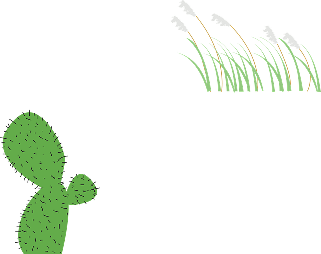 Free download Plant Cactus - Free vector graphic on Pixabay free illustration to be edited with GIMP free online image editor