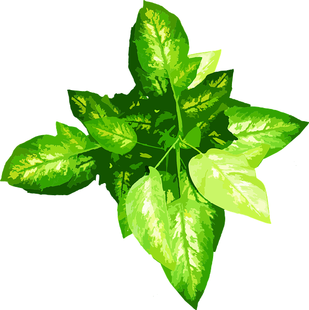 Free download Plant Green Leaves - Free vector graphic on Pixabay free illustration to be edited with GIMP free online image editor