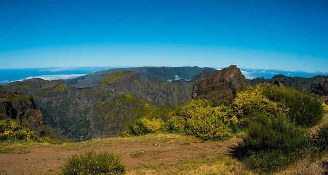 Free download Plateau Madeira Broom Distant -  free photo or picture to be edited with GIMP online image editor