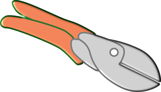 Free download Pliers Tools Equipment -  free illustration to be edited with GIMP free online image editor