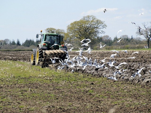 Free download Ploughing Agriculture Tractor -  free photo or picture to be edited with GIMP online image editor