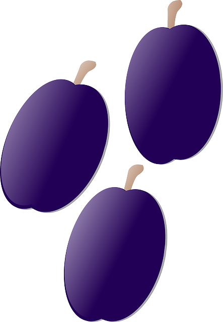 Free download Plum Purple Fruit - Free vector graphic on Pixabay free illustration to be edited with GIMP free online image editor