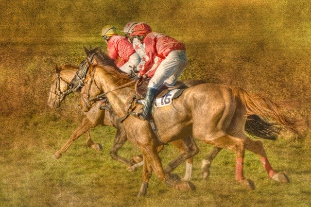 Free download Point To Horse Racing Black -  free illustration to be edited with GIMP free online image editor