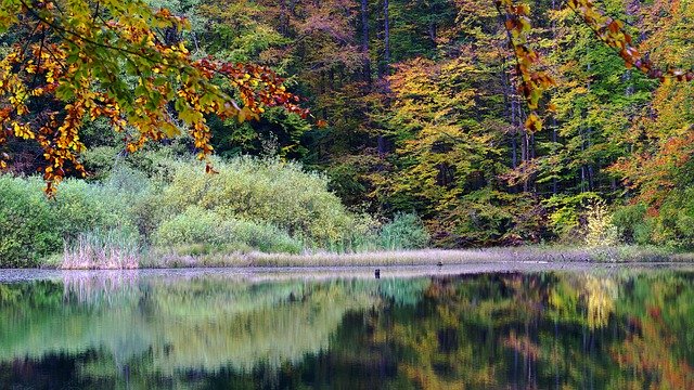 Free download Poland Bieszczady Lake -  free photo or picture to be edited with GIMP online image editor