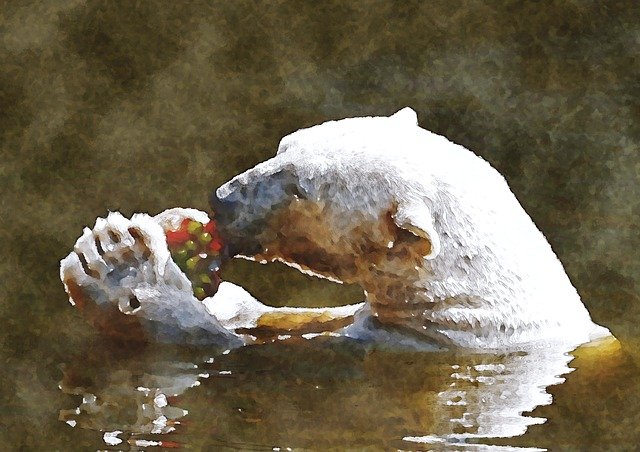 Free download Polar Bear Diet Watercolor -  free illustration to be edited with GIMP free online image editor