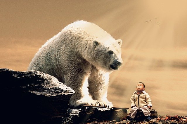 Free download Polar Bear Giant Child -  free photo or picture to be edited with GIMP online image editor