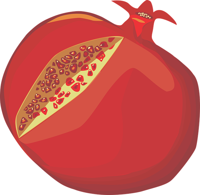 Free download Pomegranate Red - Free vector graphic on Pixabay free illustration to be edited with GIMP free online image editor