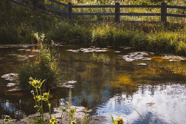 Free download pond lake natural lake nature free picture to be edited with GIMP free online image editor