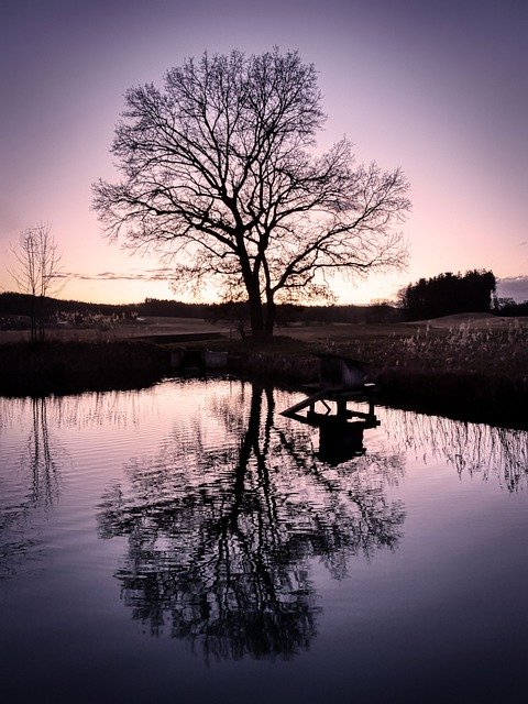 Free download pond lake water tree reflection free picture to be edited with GIMP free online image editor