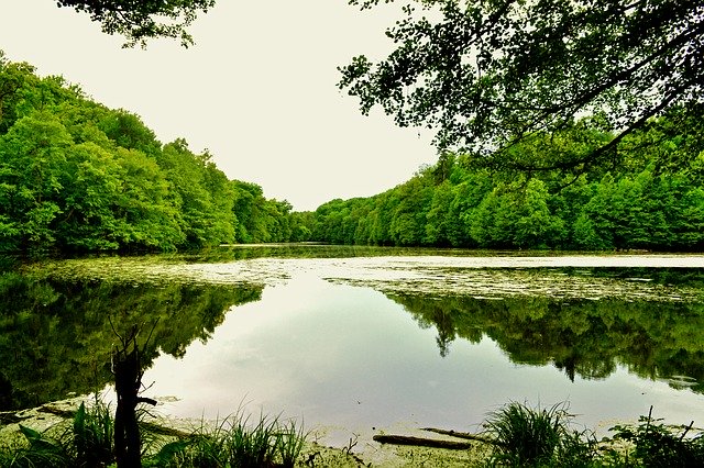 Free download Pond River Nature free photo template to be edited with GIMP online image editor