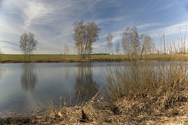 Free download Pond Water Reflection -  free photo or picture to be edited with GIMP online image editor