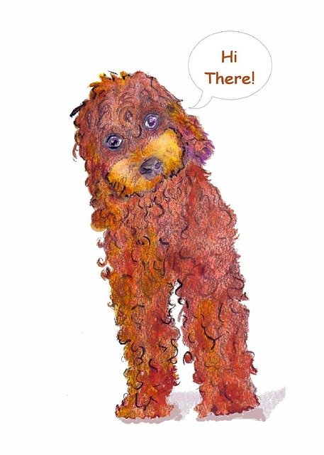 Free download Poodle Dog Pet -  free illustration to be edited with GIMP free online image editor