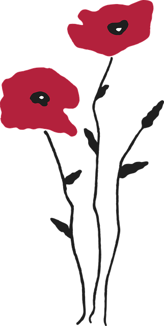 Free download Poppy - Free vector graphic on Pixabay free illustration to be edited with GIMP free online image editor