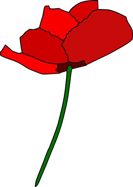 Free download Poppy Rose Red - Free vector graphic on Pixabay free illustration to be edited with GIMP free online image editor