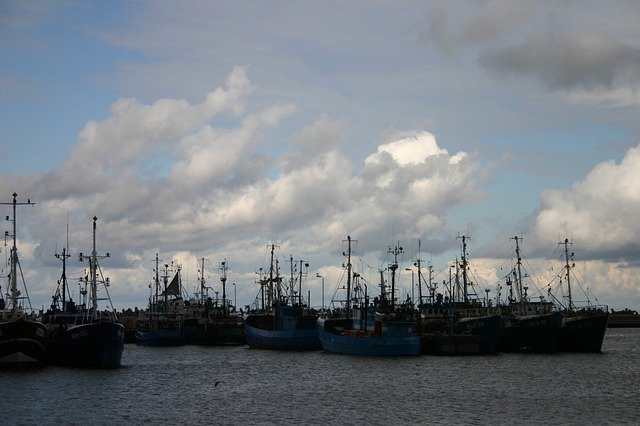 Free download Port Fishing Vessels Sea -  free photo or picture to be edited with GIMP online image editor