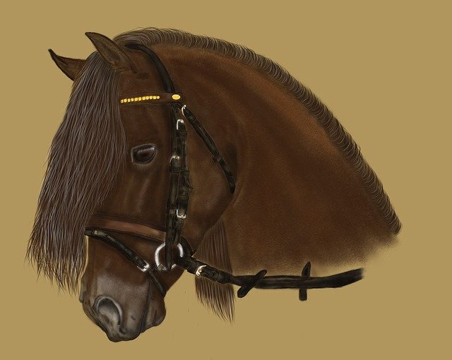 Free download Portrait Bay Horse -  free illustration to be edited with GIMP free online image editor