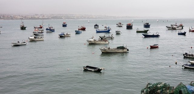 Free download Portugal Boats Fishermen -  free photo or picture to be edited with GIMP online image editor