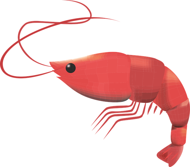 Free download Prawn Crustacean Seafood - Free vector graphic on Pixabay free illustration to be edited with GIMP free online image editor