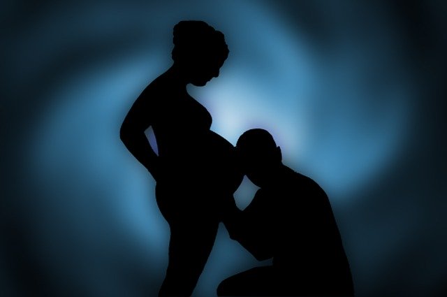 Free download Pregnant Parents Father -  free illustration to be edited with GIMP free online image editor