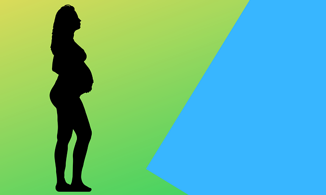 Free download Pregnant Pregnancy Lady -  free illustration to be edited with GIMP free online image editor