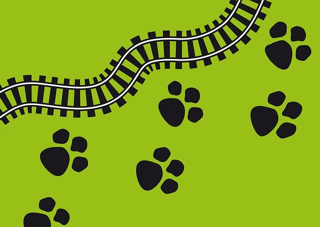Free download Prints Pugmarks Tracks -  free illustration to be edited with GIMP free online image editor