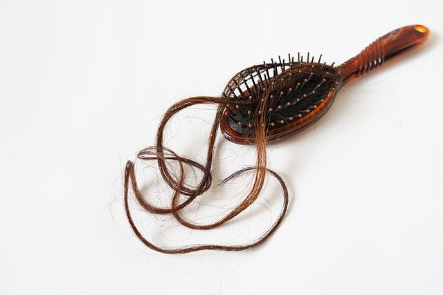 Free download problem hair comb brush lost free picture to be edited with GIMP free online image editor