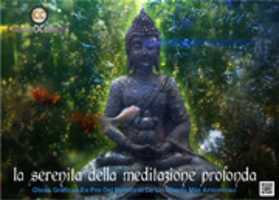 Free download Profunda Meditacion 2014 free photo or picture to be edited with GIMP online image editor