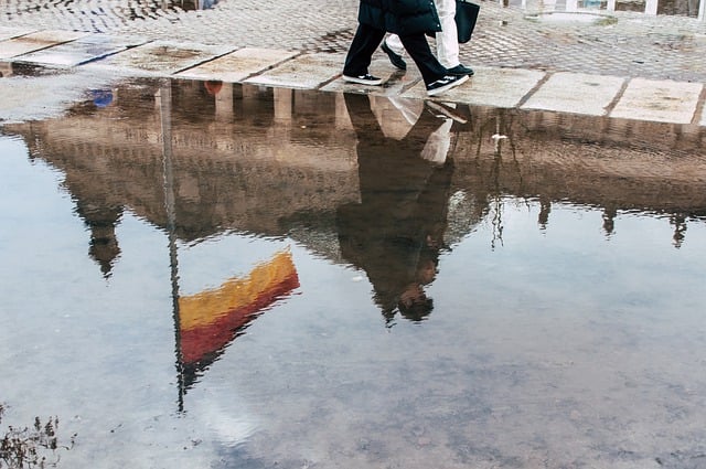 Free download puddle reflection banner bundestag free picture to be edited with GIMP free online image editor