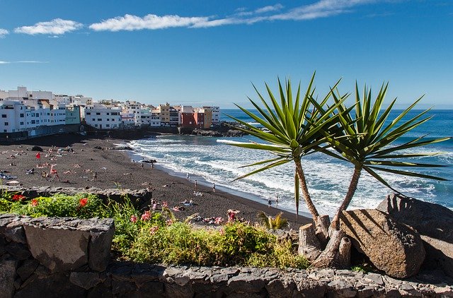Free download Puerto De La Cruz Tenerife Spain -  free photo or picture to be edited with GIMP online image editor