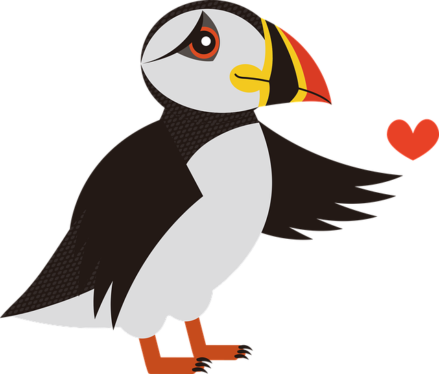 Free download Puffin Bird Sea - Free vector graphic on Pixabay free illustration to be edited with GIMP free online image editor