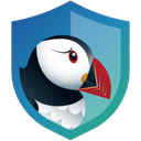 Puffin Cloud Isolation Assistant EE  screen for extension Chrome web store in OffiDocs Chromium