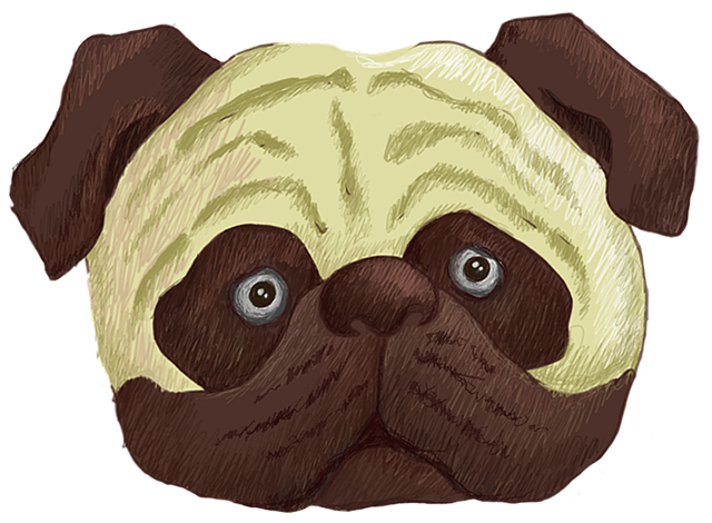 Free download Pug Dog Animal -  free illustration to be edited with GIMP free online image editor