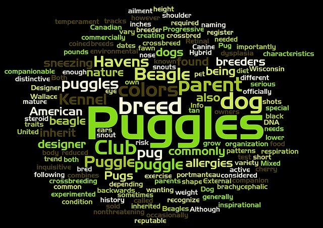 Free download Puggle Word Cloud Pet -  free illustration to be edited with GIMP free online image editor