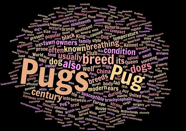 Free download Pugs Wordcloud Animal -  free illustration to be edited with GIMP free online image editor