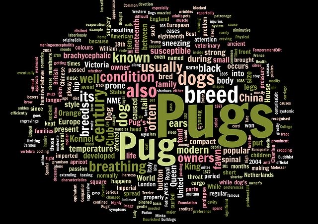 Free download Pug Wordcloud Words -  free illustration to be edited with GIMP free online image editor