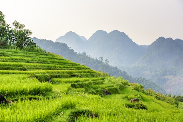 Free download pu luong nature reserve in vietnam free picture to be edited with GIMP free online image editor