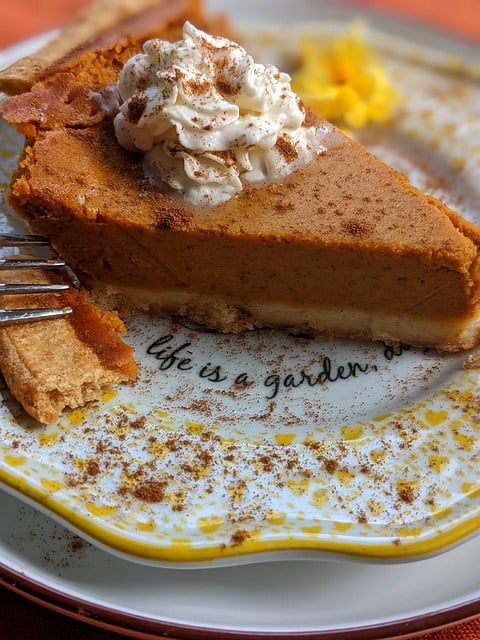 Free download pumpkin pie pie dessert pastry free picture to be edited with GIMP free online image editor