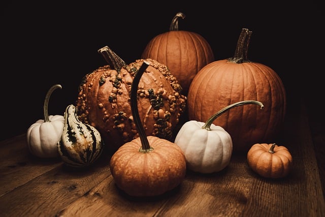 Free download pumpkins halloween table gourds free picture to be edited with GIMP free online image editor