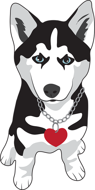 Free download Puppy Siberian Husky Dog Snow - Free vector graphic on Pixabay free illustration to be edited with GIMP free online image editor