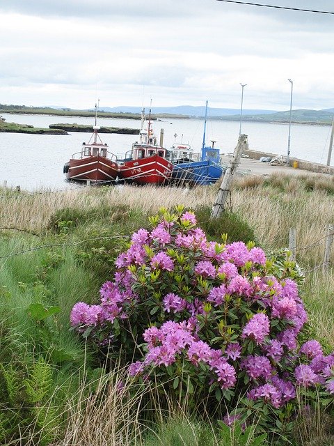 Free download Purple Boats Water -  free photo or picture to be edited with GIMP online image editor