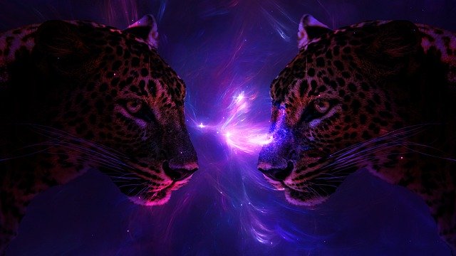 Free download Purple Cat Tiger -  free illustration to be edited with GIMP free online image editor