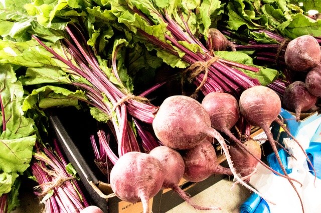 Free download Purple Radish Vegetable Food -  free photo or picture to be edited with GIMP online image editor