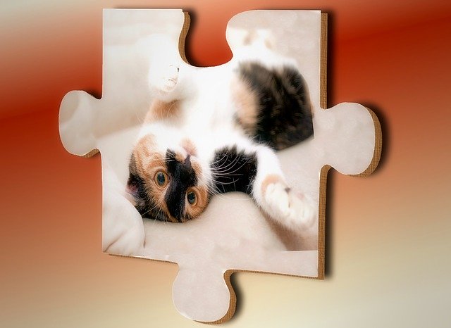 Free download Puzzle Cat Share -  free illustration to be edited with GIMP free online image editor